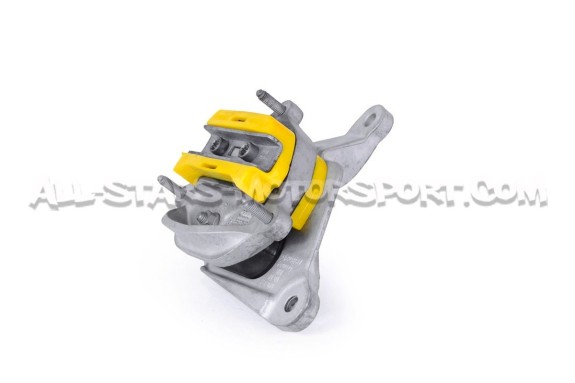 Audi A4 / S4 / RS4 B8, A5 / S5 / RS5 8T and RS6 C6 Powerflex Gearbox Mount Insert