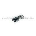 All Stars Motorsport Sunglasses