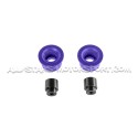 Silentblocks delanteros Powerflex para diferencial trasero de S3 8L / Golf 4 R32 / TT 8N Quattro / Leon 1M Cupra