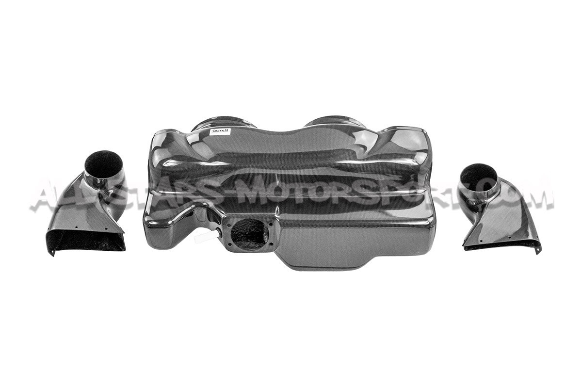 Lamborhini Gallardo Gruppe M Carbon Fiber Intake System