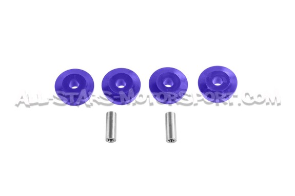 Audi RS6 C5 Powerflex Rear Differential Rear Mounting Bushes