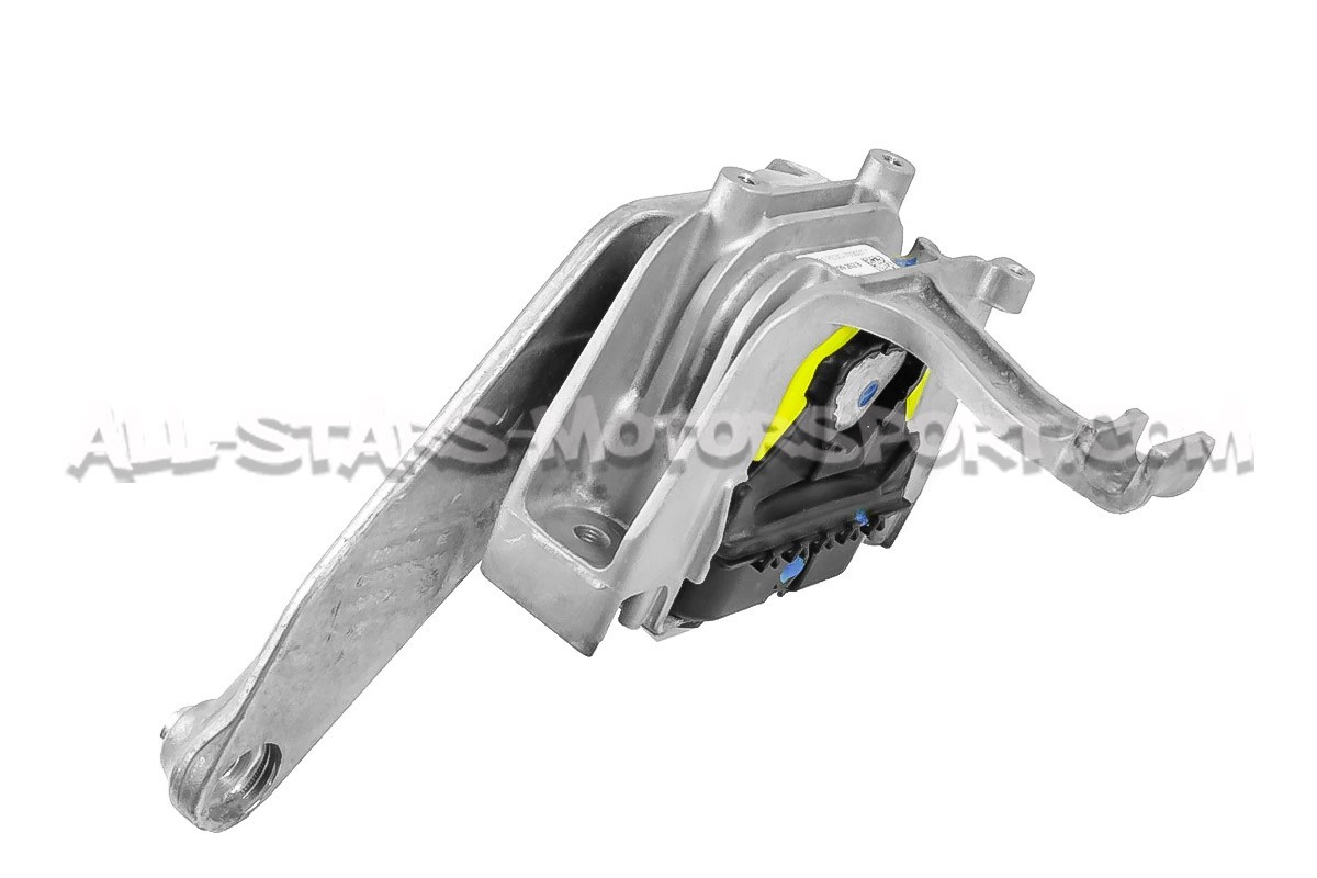 Audi RS3 8V / 8.5V and TTRS 8S Powerflex Engine Mount Insert