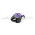 Golf 7 R / Golf 8 R / S3 8V, 8Y / RS3 8V, 8Y / RSQ3 Powerflex Rear Subframe Rear Bushes