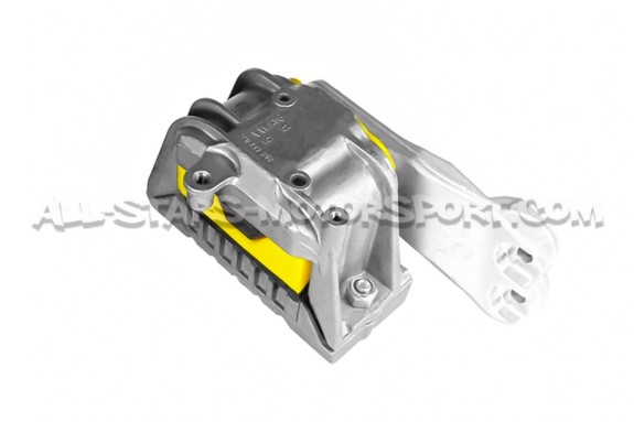 Audi RS3 8P and TTRS Mk2 Powerflex Engine Mount Insert