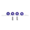 Silentblocs Powerflex pour support de differentiel de Audi S4 B5 / RS4 B5