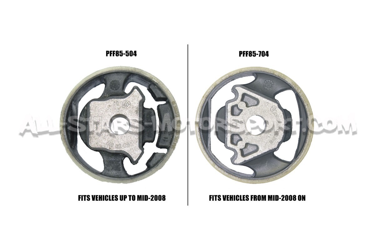 A3 / S3 8P / TT 8J et Golf 5 GTI / R32 / Leon 2 Cupra (04-08) Power...