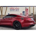 Ford Mustang S550 Ecoboost / V8 Drake Shelby Fuel Door