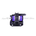 Golf 4 GTI, Leon 1M, TT 8N, Polo 9N GTI, Polo 6R GTI and Ibiza 6J Powerflex Rear Beam Mount Bushes