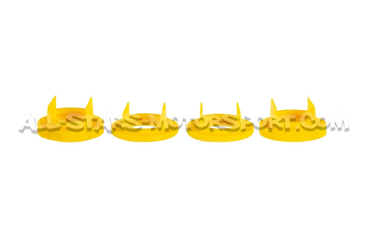 Audi A4 / S4 and RS4 B8 Powerflex Rear Subframe Front Bushes Inserts