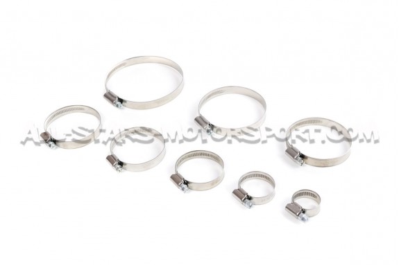 Mangueras auxiliares Forge para Megane 2 RS