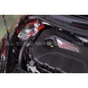 Vaso de expansión Mishimoto Fiesta ST 180