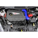 Durite d'induction Mishimoto pour Fiesta ST 180