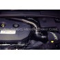 Admision Ramair para Ford Focus 3 RS
