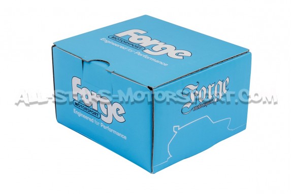 Outlet muffler delete Forge Audi S3 8V / S1 / TT 8S