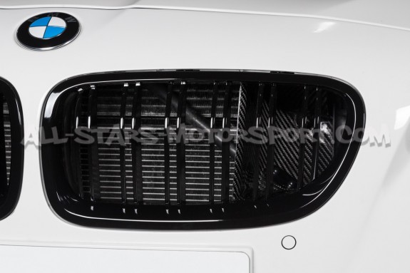 BMW M5 F10 Eventuri Carbon Fiber Intake System