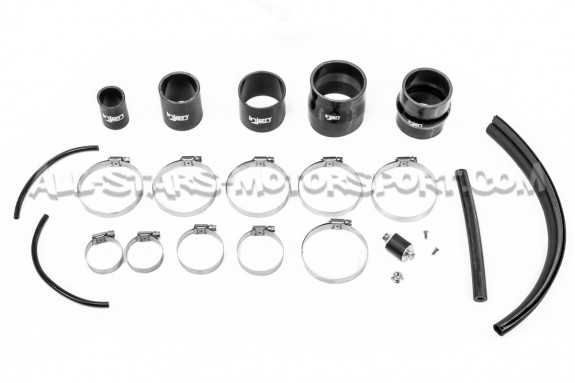 Mitsubishi Lancer Evolution 10 Injen Intake