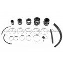 Mitsubishi Lancer Evolution 10 Injen Intake
