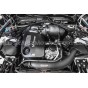 Chargecooler intercambiador Forge Motorsport para BMW M2 Comp / M3 / M4 F8x