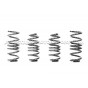 Audi S4 B9 Racingline Sport Springs