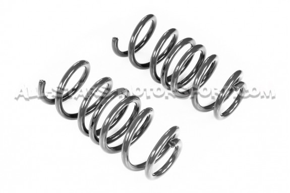 Muelles suspension Racingline para  Audi S4 B9