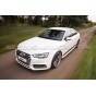 Audi S4 B9 Racingline Sport Springs