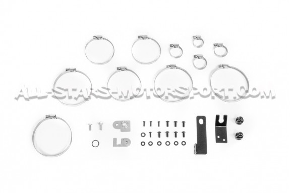 Ford Focus ST 250 Mishimoto Performance Intake