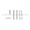 Outil Forge pour poulie de compresseur Audi S4 / S5 3.0 TFSI