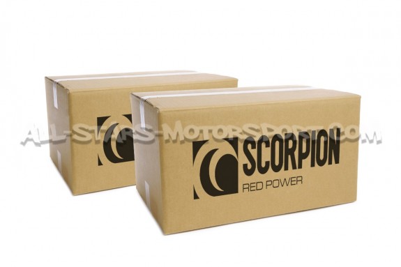 Catback Scorpion pour Honda Civic Type R Fk8