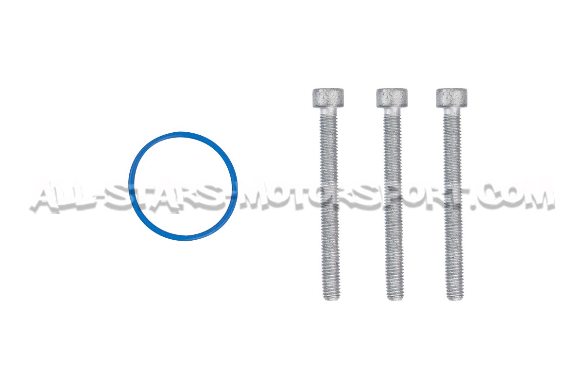 2.0 TFSI EA113 High Pressure Fuel Pump O-Ring and Bolts