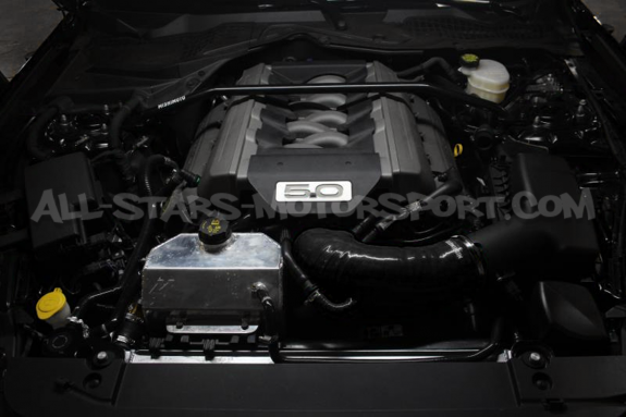 Durite d'induction en silicone Mishimoto pour Ford Mustang S550 GT 5.0