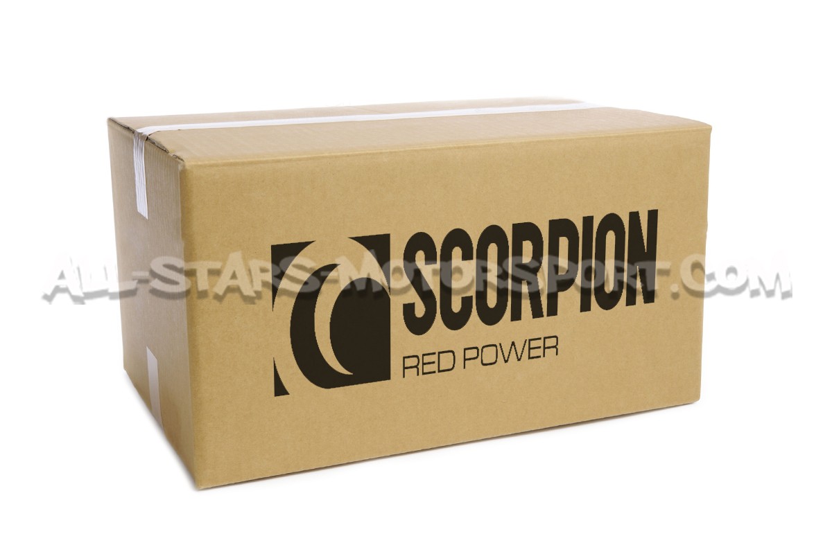 BMW 135i F20 / F21 Scorpion Catback Exhaust