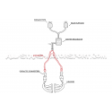 Audi S4 B8 / B8.5 3.0 TFSI Scorpion Downpipes Resonated Front Section