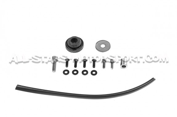 Forge intake for Mini Cooper S / JCW F56
