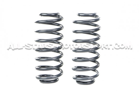 Kit ressorts courts Racingline pour Golf 5 GTI / Golf 6 GTI / Leon 2 Cupra