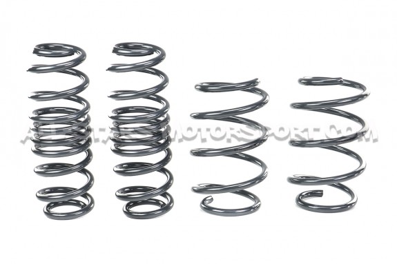 Muelles suspension Racingline para Golf 7 R SW / Leon 3 Cupra ST / Octavia VRS SW