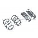 Muelles suspension Racingline para Golf 7 R