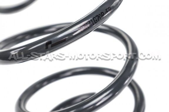 Muelles suspension Racingline para Golf 7 R