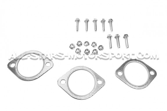 Escape Injen Super SES para Ford Focus 3 ST 250