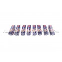 Bougies NGK BKR8EIX pour Audi RS4 B7 4.2 FSI