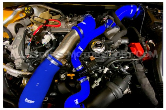 Mini Cooper S R56 / R57 N18 Forge Motorsport Boost Hoses