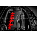 Admision de carbono Eventuri para Audi RS3 8V Facelift