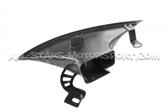 Prise d'air de phare avant carbone Eventuri pour Audi RS3 8V Facelift