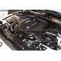 Ford Mustang S550 GT 5.0 FL Injen Evo Intake