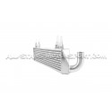 Intercambiador Forge para Clio 4 RS 1.6T 200