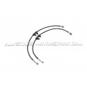 Latiguillos de freno metalicos Goodridge para Honda S2000