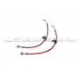 Honda S2000 Goodridge Braided Brake Hose Lines Kit
