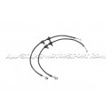 Latiguillos de freno metalicos Goodridge para Honda S2000