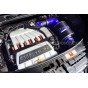 Admission carbone Forge pour Audi A3 8P 3.2 V6