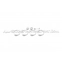 Kit de admision Forge para Ford Focus 3 ST250