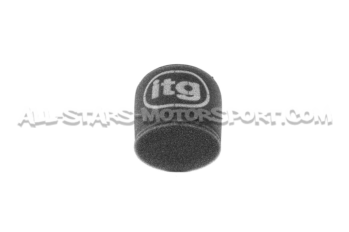 Audi S4 / S5 B9 ITG Profilter Panel Air filter